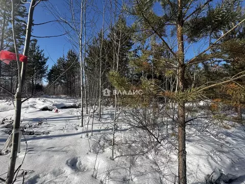 Участок в Иркутская область, Усольский район, с. Большая Елань  (15.0 ...
