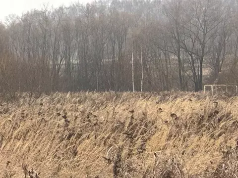 Участок в Московская область, Кашира городской округ, д. Токарево  ...