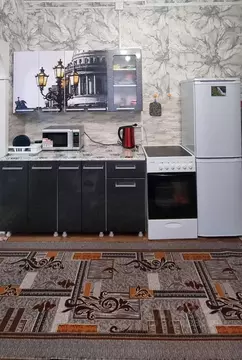 1-к кв. Алтай, Чемальский район, с. Чемал ул. Строителей, 1 (48.0 м)