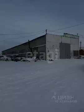 Склад в Ямало-Ненецкий АО, Новый Уренгой Железнодорожная ул., 90 (1079 ...