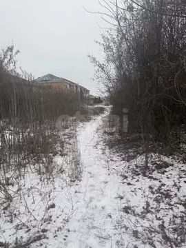 Участок в Белгородская область, Губкин Горняк-Мичуринец СТ, 11 (6.0 ...