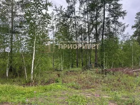 Участок в Саха (Якутия), Мегино-Кангаласский улус, Нижний Бестях пгт  ...
