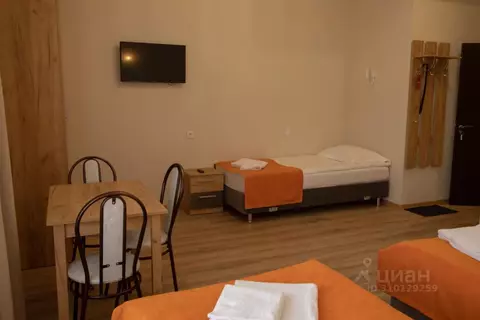 Комната Санкт-Петербург Садовая ул., 28-30к8 (26.0 м)