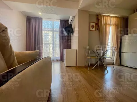 Студия Краснодарский край, Сочи Курортный просп., 96/4 (23.0 м)