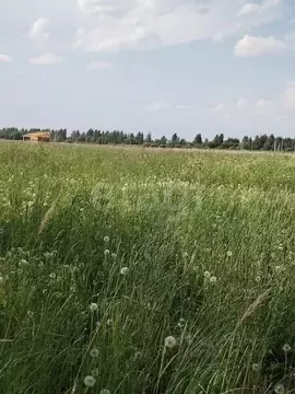 Участок в Костромская область, Кострома  (11.0 сот.)