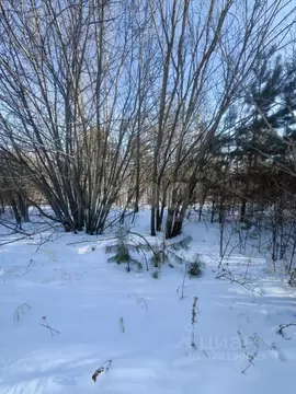 Участок в Амурская область, Благовещенск городской округ, с. Белогорье ...