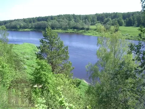 Участок в Тверская область, Старицкий муниципальный округ, д. Кучково ...