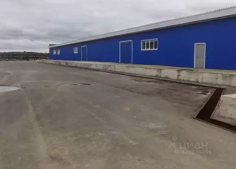 Производственное помещение в Московская область, Домодедово Заря СНТ, ...