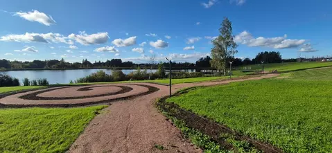 Участок в Ленинградская область, Приозерский район, Сосновское с/пос, ...