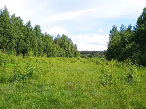 Участок в Выборгский район, Полянское сельское поселение, посёлок ...