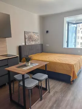 Студия Краснодарский край, Сочи Мацестинская Долина мкр, ул. ...