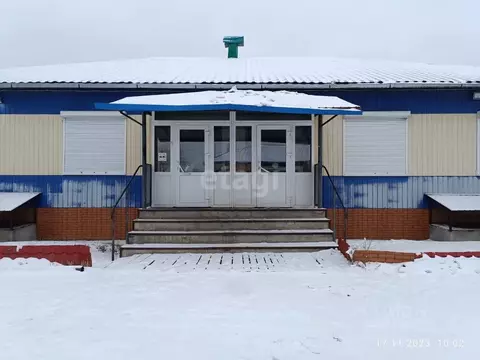 Помещение свободного назначения в Амурская область, Свободный ул. ...