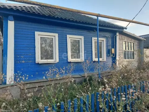 Дом в Белгородская область, Корочанский район, с. Погореловка  (34 м)