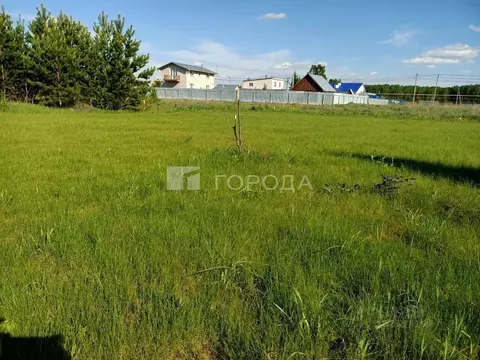 Участок в Новосибирская область, Новосибирский район, Кудряшовский ...