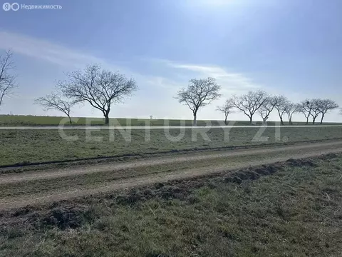 Участок в Молочное, Садовая улица (11 м)