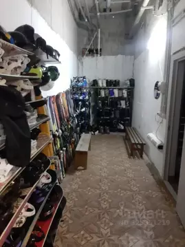 Помещение свободного назначения в Пензенская область, Пенза Окружная ...