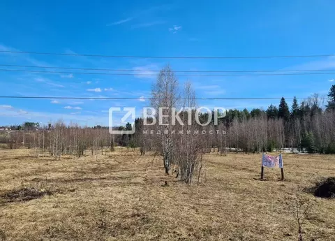 Участок в Ивановская область, Кохма ул. 2-я Застрельная, 7 (11.5 сот.)