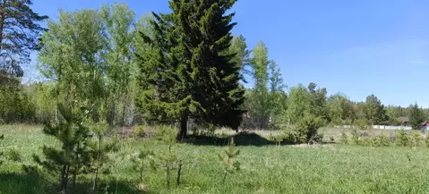 Участок в Алтайский край, Первомайский район, Бобровский сельсовет, ...