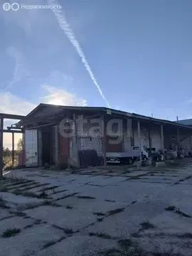 Помещение свободного назначения (300 м)