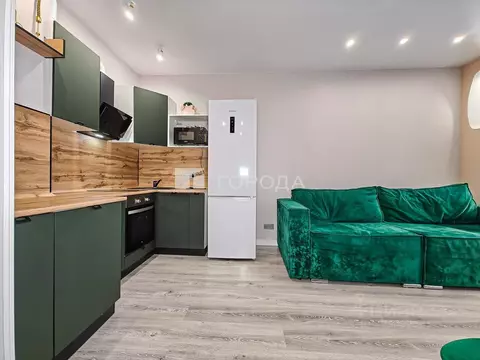 Студия Новосибирская область, Новосибирск ул. Никитина, 128 (33.0 м)