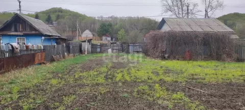 Купить Дачу В Благовещенске Амурской Свежие Объявления