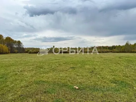 Участок в Свердловская область, с. Туринская Слобода  (1200.0 сот.)