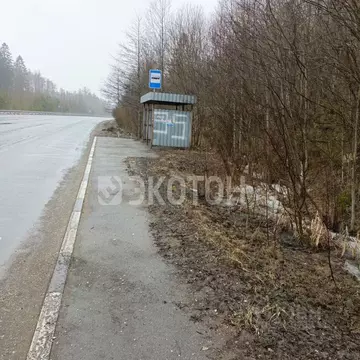 Участок в Ленинградская область, Выборгский район, Полянское с/пос, ...