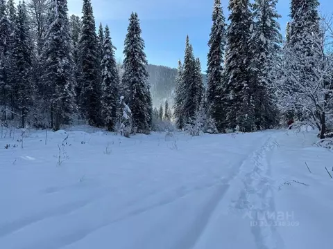 Участок в Алтай, Турочакский район, с. Артыбаш  (74.0 сот.)