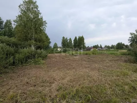 Участок в Новосибирская область, Коченевский район, Тальник СНТ ул. ...