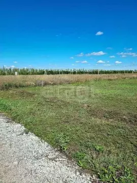 Участок в Воронежская область, с. Новая Усмань пер. Олимпийский, 1 ...
