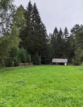 Участок в Ленинградская область, Волховский район, Пашское с/пос, д. ...