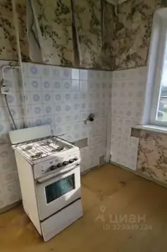 2-к кв. Челябинская область, Чебаркульский муниципальный округ, с. ...