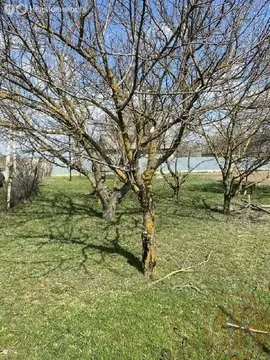 Участок в Белогорский район, село Ароматное (15 м)