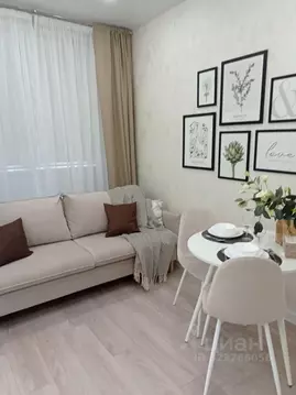 Студия Москва просп. Прокшинский, 10 (21.5 м)