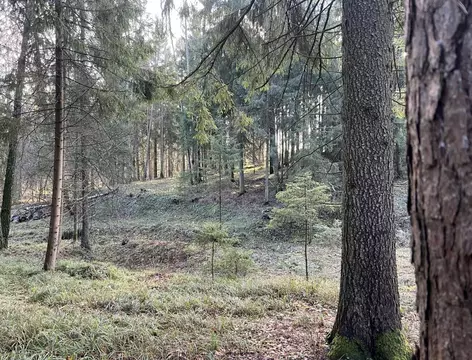 Участок в Московская область, Чехов  (8.8 сот.)