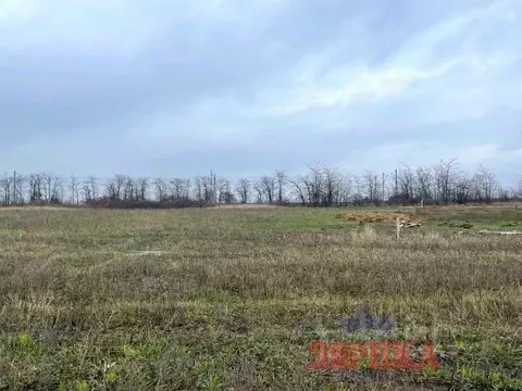 Участок в Краснодарский край, Крымский район, Киевское с/пос, с. ...