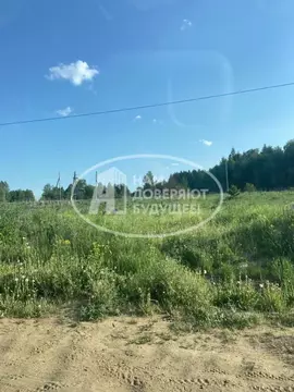 Участок в Пермский край, Верещагинский городской округ, д. Бородули ...