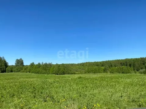 Участок в Вологодская область, пос. Кипелово  (21.0 сот.)