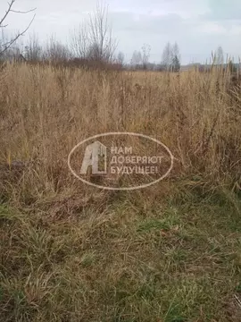 Участок в Пермский край, Чайковский городской округ, с. Большой Букор ...