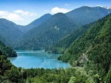 Участок в Краснодарский край, Сочи Красная Поляна пгт, ул. Заповедная, ...