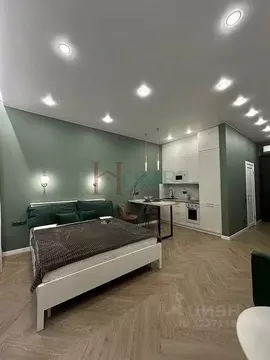 Студия Новосибирская область, Новосибирск Красный просп., 220 (29.0 м)