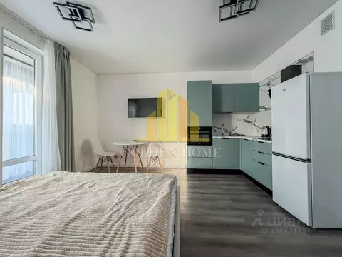 Студия Санкт-Петербург Светлановский просп., 14к1 (27.0 м)