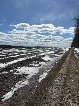 Участок в Калужская область, Медынский район, Романово с/пос, д. ...