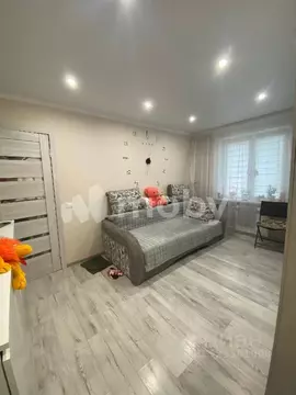 Студия Калининградская область, Калининград Прибрежный мкр, ул. ...