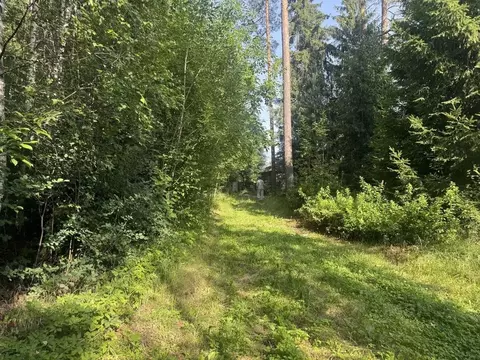 Участок в Ленинградская область, Выборгский район, Первомайское с/пос, ...