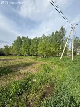 Дом в деревня Бережки, садовое товарищество Бережок (20 м)