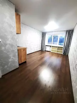 Студия Башкортостан, Уфа просп. Октября, 56/1 (18.0 м)