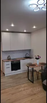 Студия Московская область, Домодедово городской округ, с. Домодедово ...