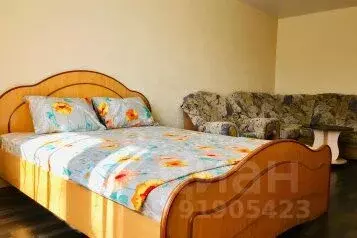 1-к кв. Кемеровская область, Кемерово ул. Дарвина, 3А (33.0 м)