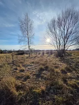 Участок в Калужская область, Калуга городской округ, д. Пучково  (33.0 ...